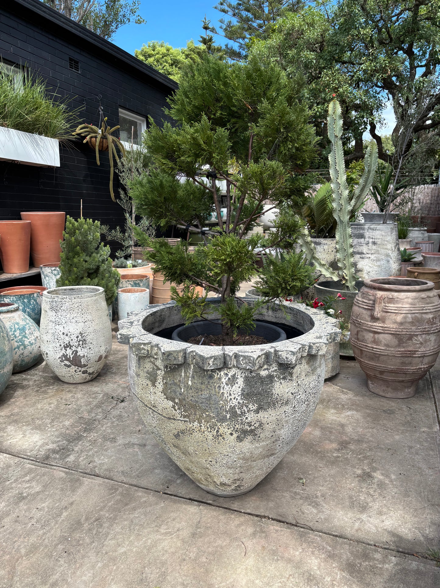 Woodfired Capital bowl