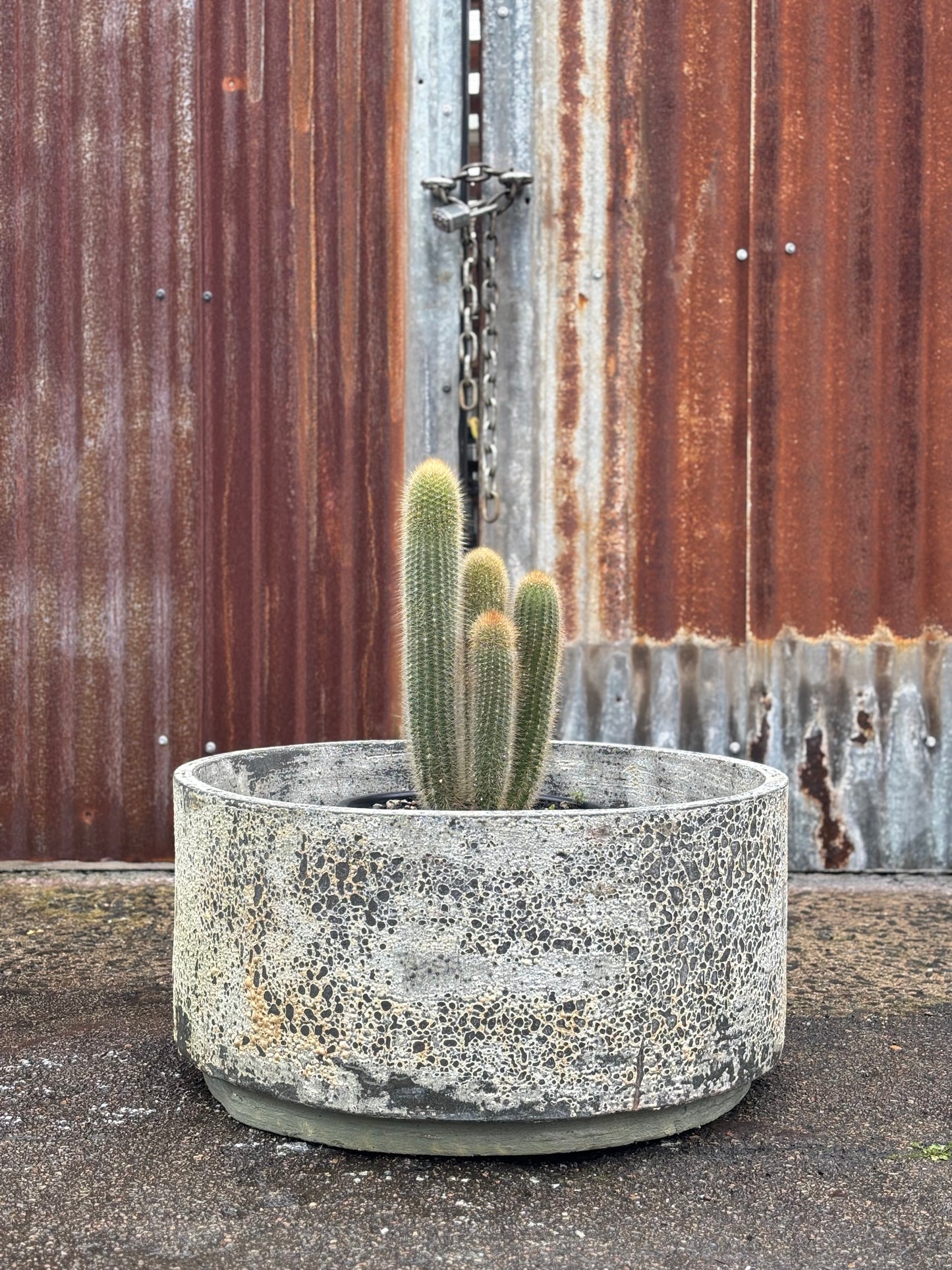 Woodfired Cylinder