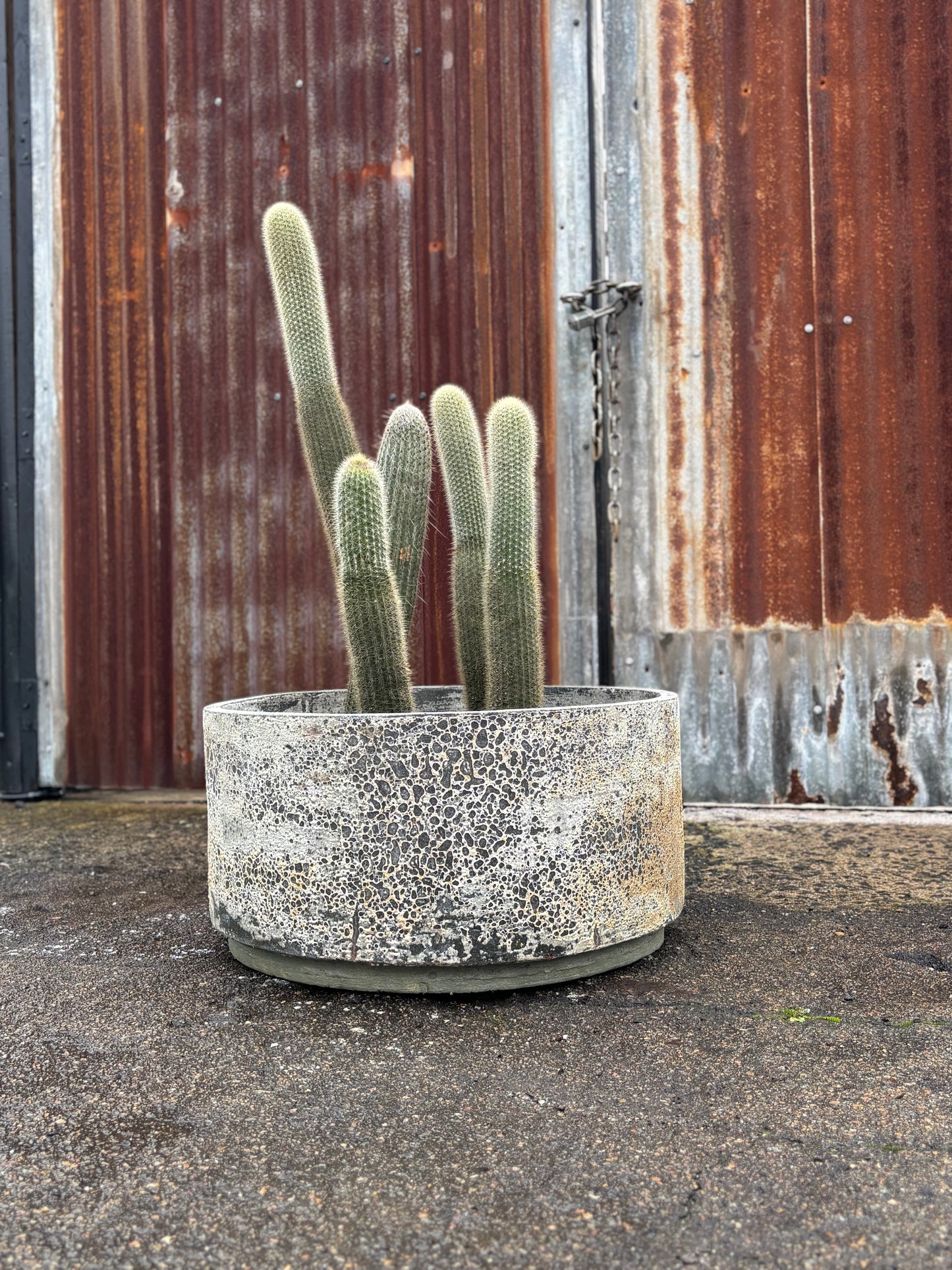 Woodfired Cylinder
