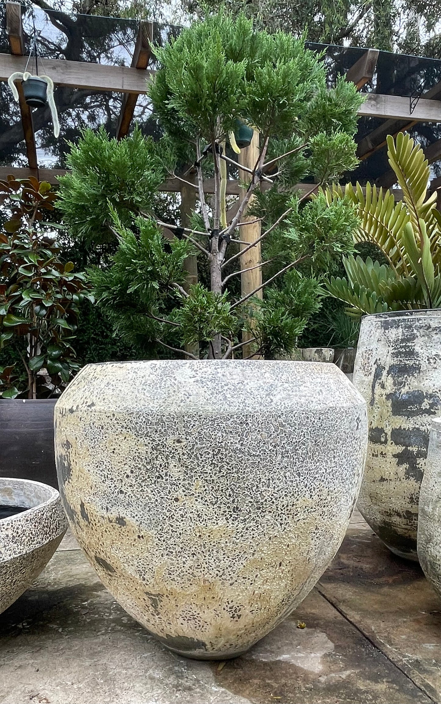 Woodfired Water bowl
