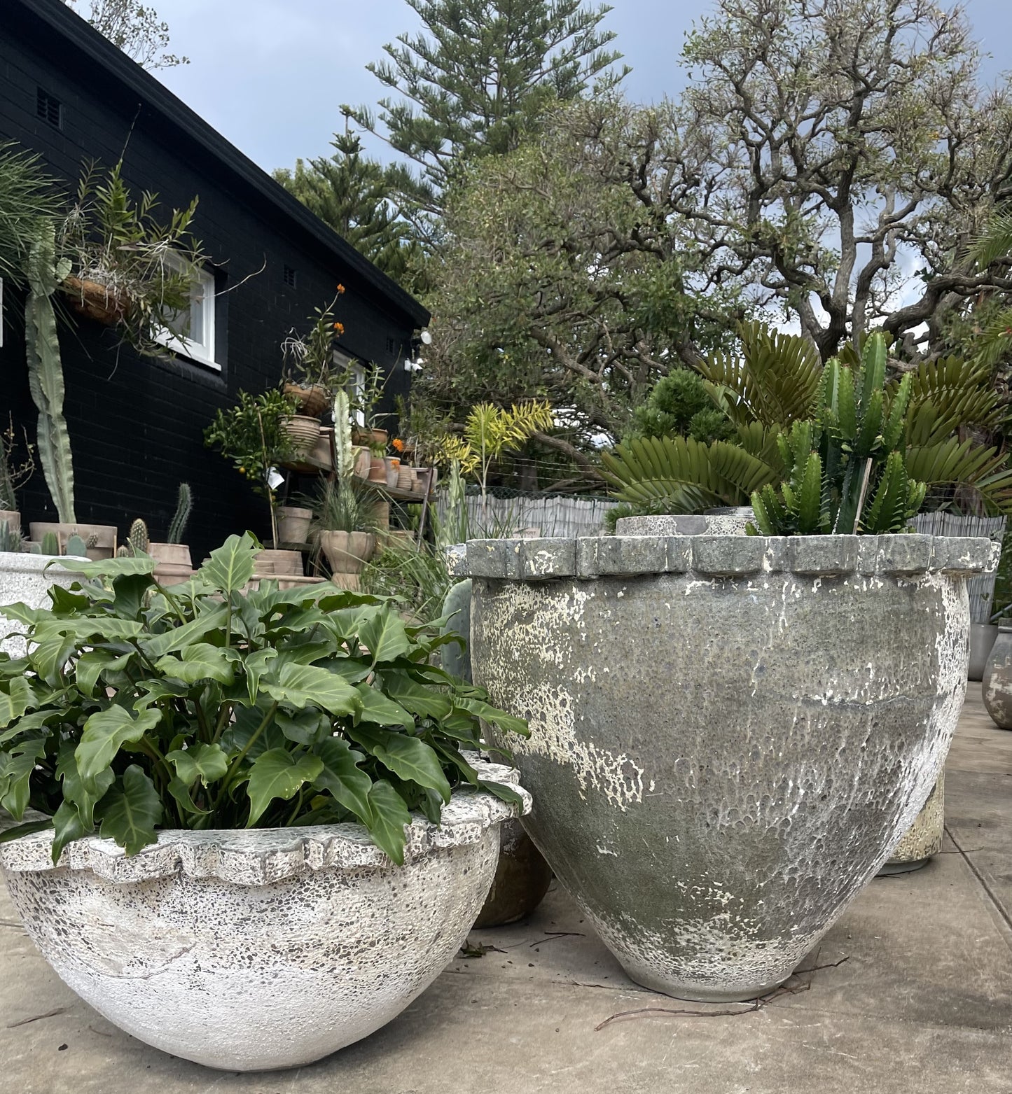 Woodfired Capital bowl