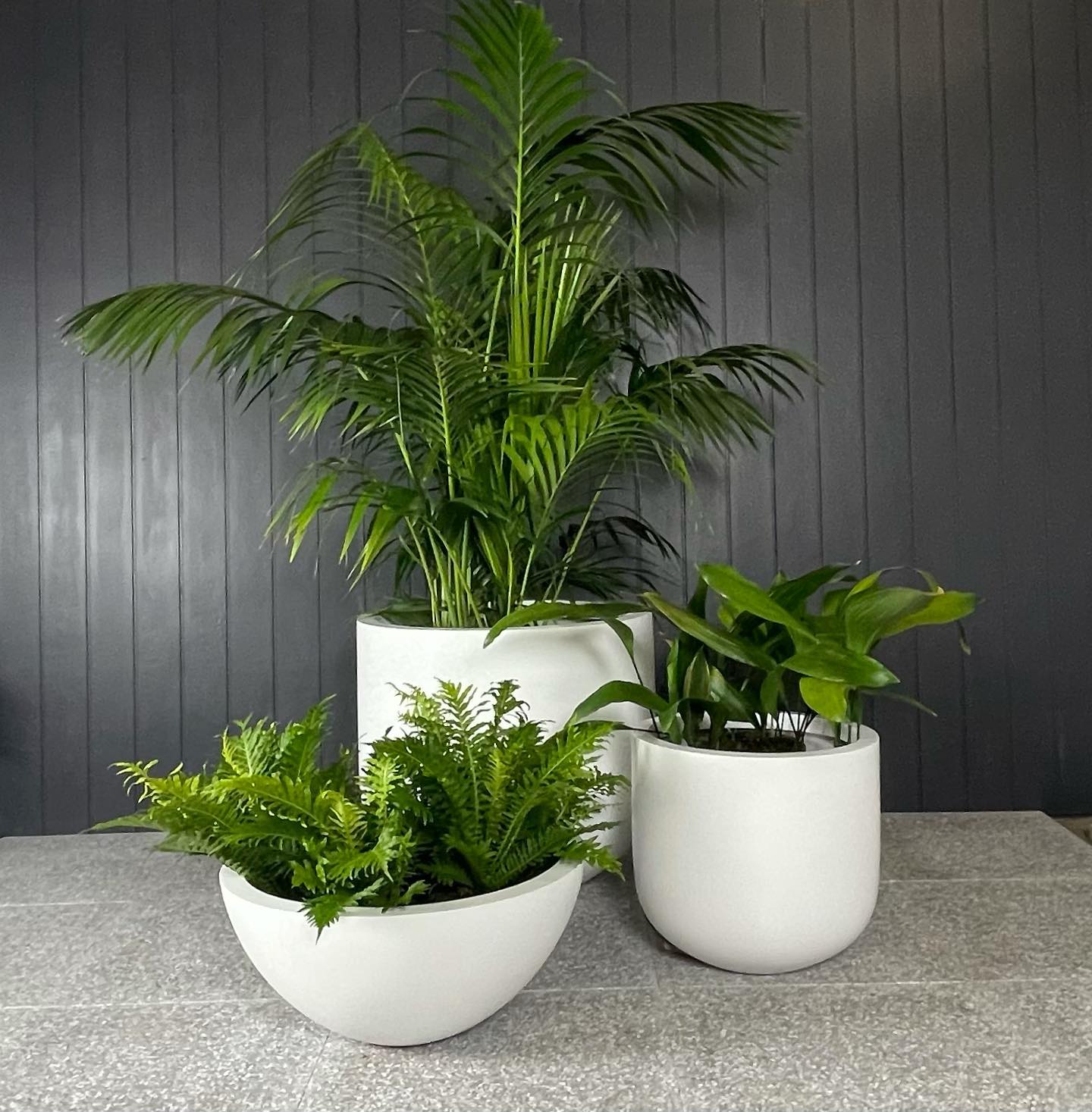 large shallow pots for plants Shallow Planter