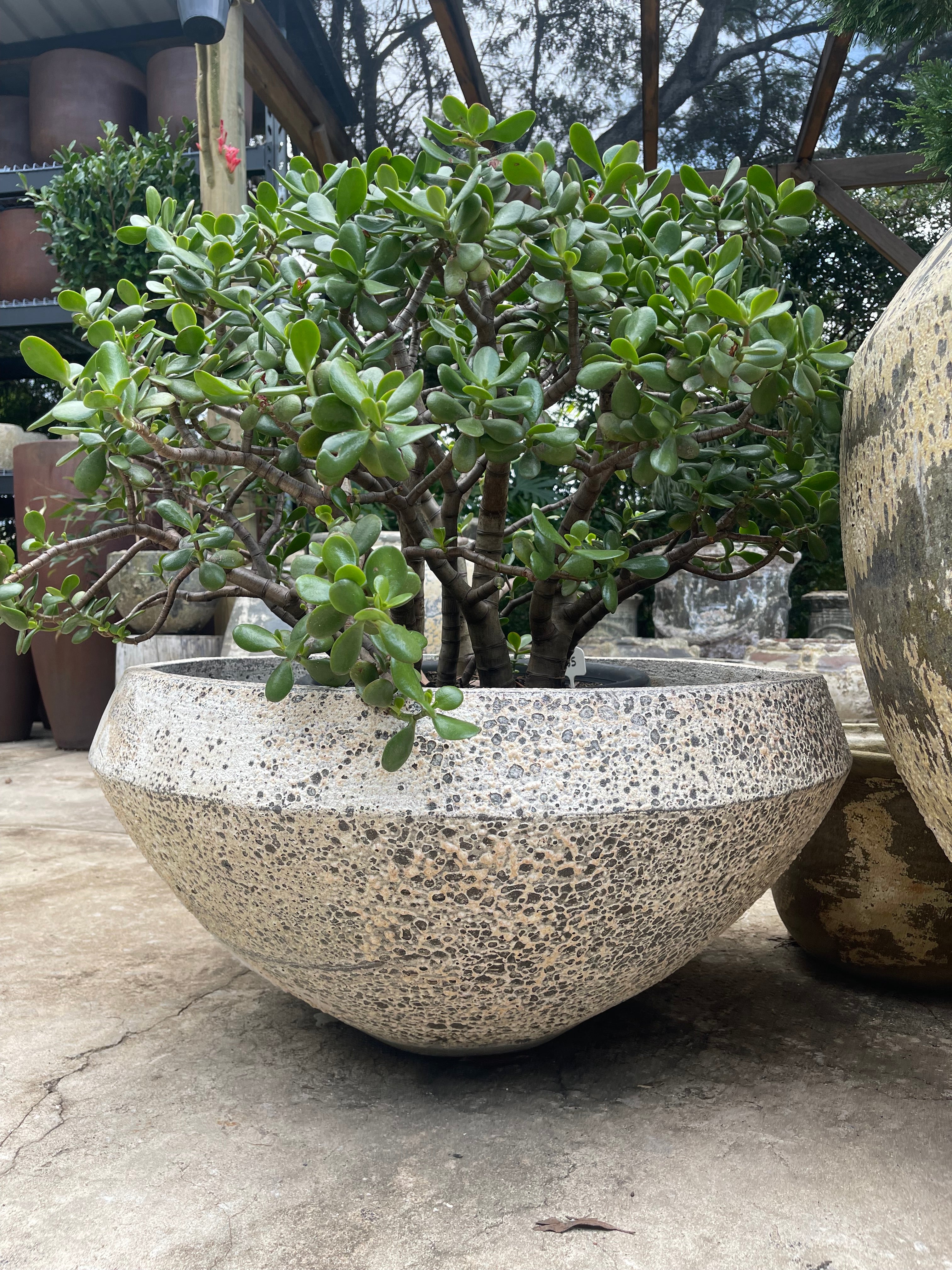 Woodfired Water bowl